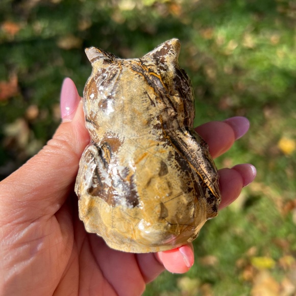 Picture jasper (1) owl craving | crystal - Picture 4 of 12